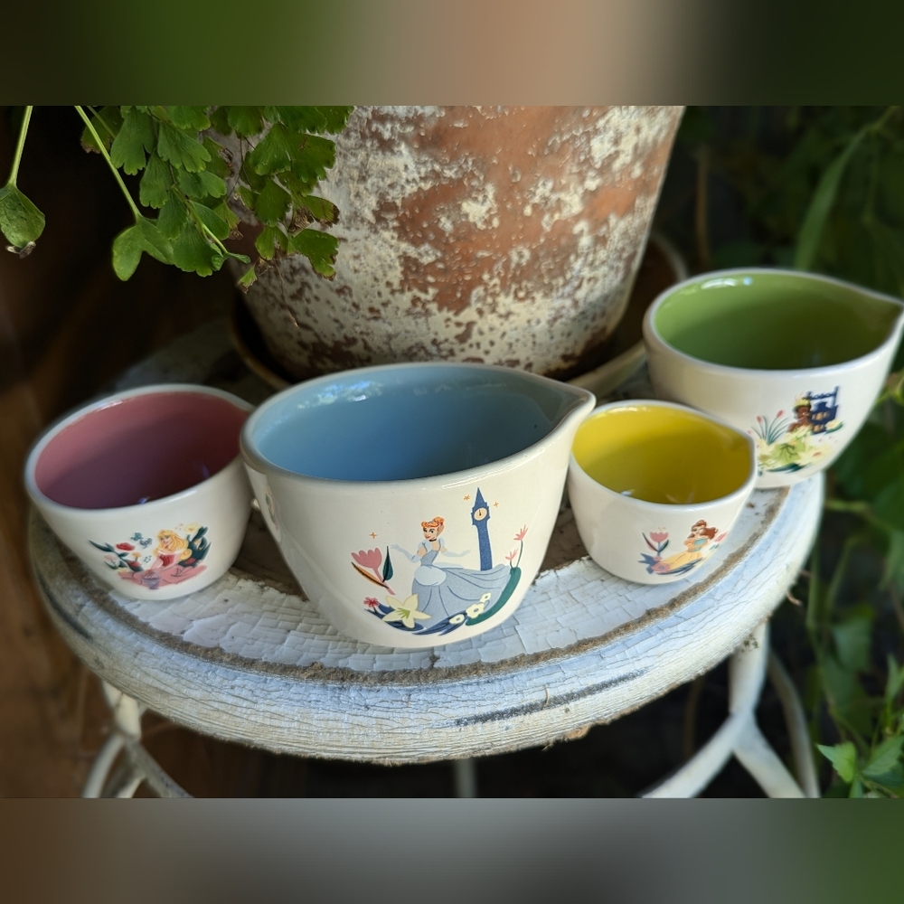 Disney Princess Rae Dunn Measuring Cups